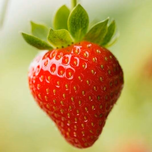 Strawberry with blurred background