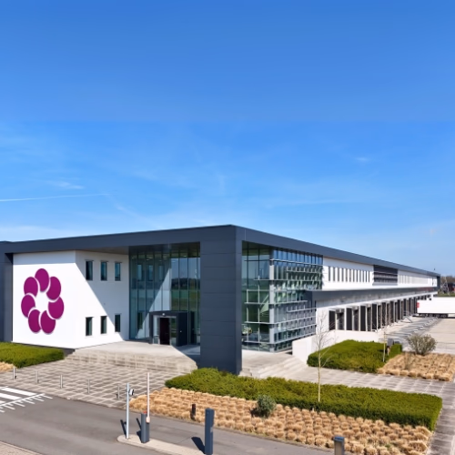 Agro Berries Packing SQ