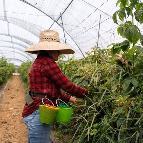 Farm worker